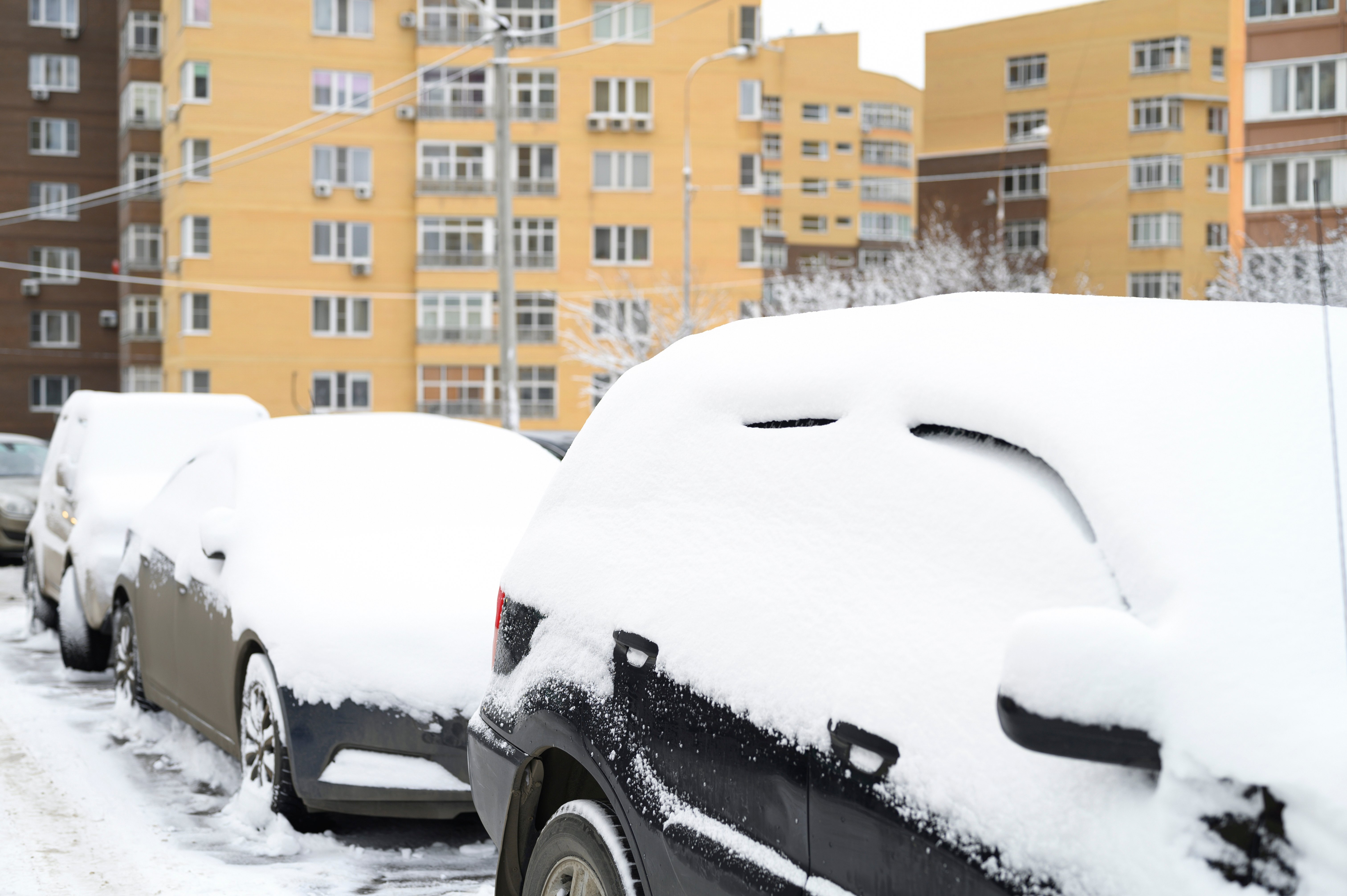 Cars covered in snow