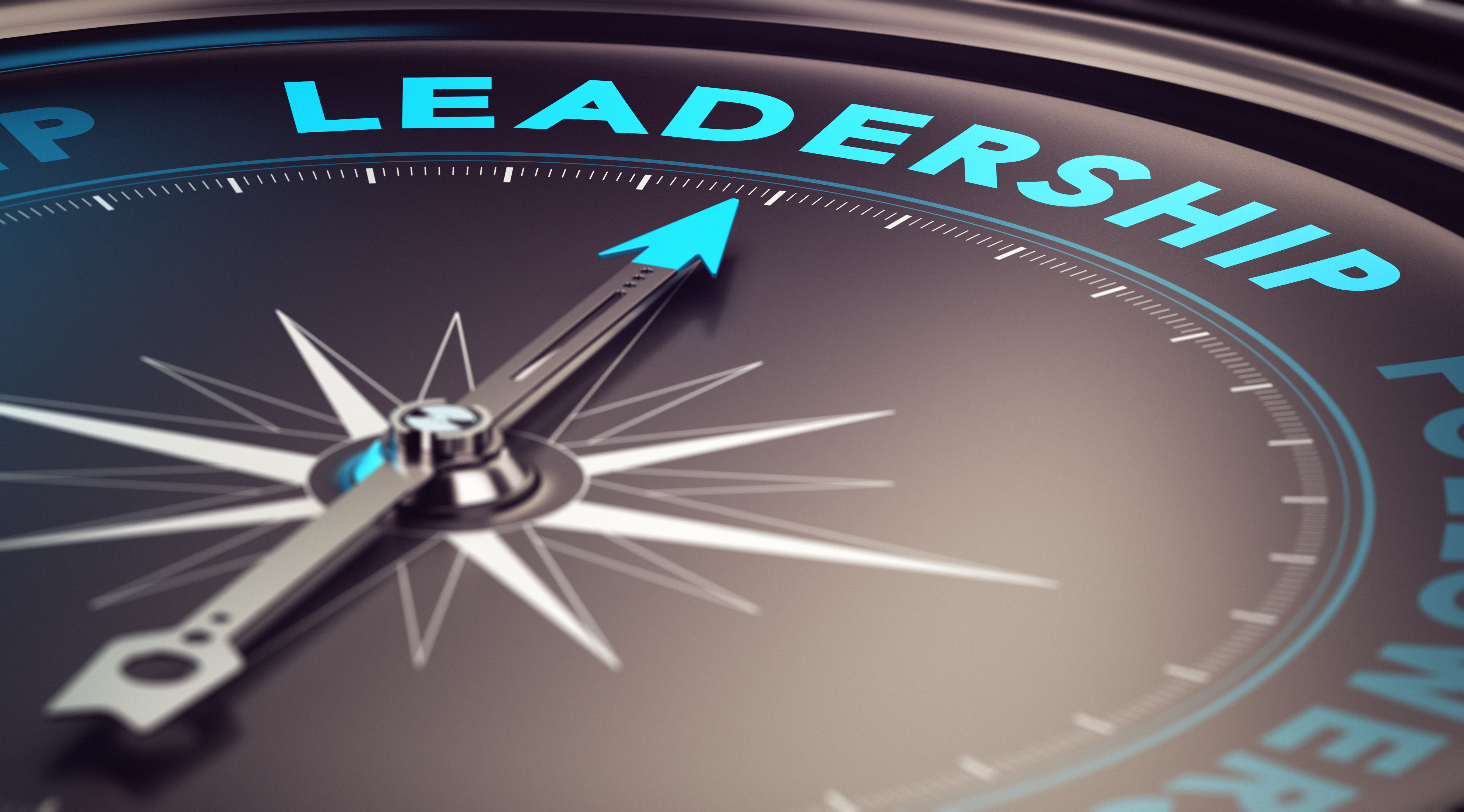 Management and Leadership Skills - why they are essential to ALL businesses